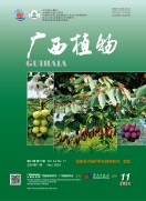 44（11）封面